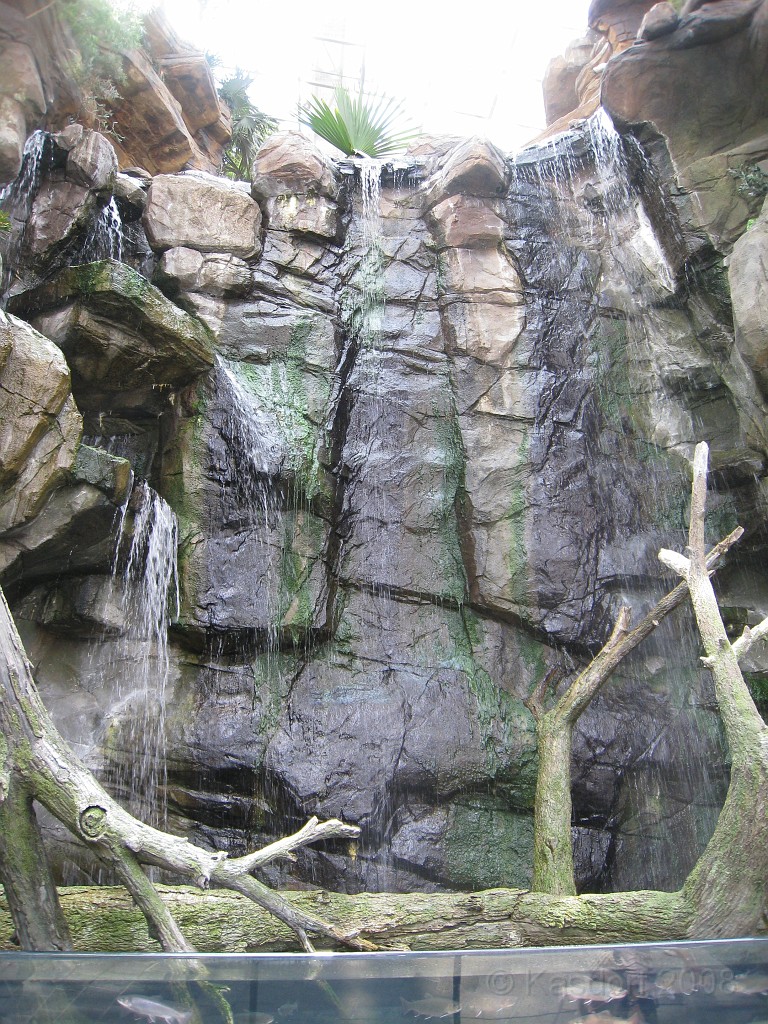 Baltimore MD 2009 0680.jpg - A 4th of July trip to Washington DC in 2009 included a stop in Baltimore MD to see the National Aquarium.